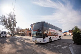 bus