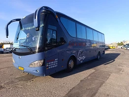 bus